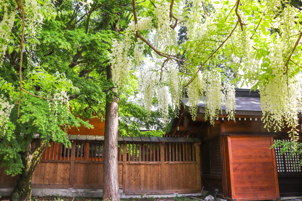 和気神社は社殿も美しい