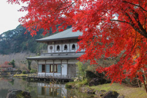 紅葉の彩りが鮮やかだった2017年