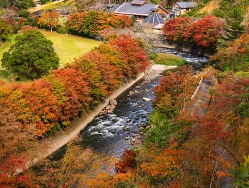 紅葉 Kagoshima View